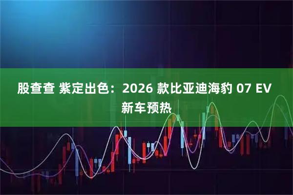 股查查 紫定出色：2026 款比亚迪海豹 07 EV 新车预热