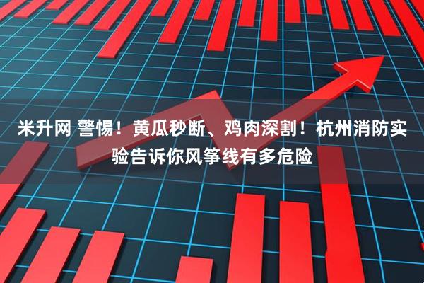 米升网 警惕！黄瓜秒断、鸡肉深割！杭州消防实验告诉你风筝线有多危险