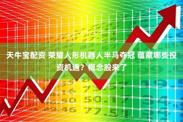 天牛宝配资 荣耀人形机器人半马夺冠 蕴藏哪些投资机遇？概念股来了