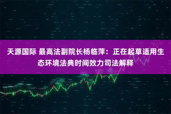 天源国际 最高法副院长杨临萍：正在起草适用生态环境法典时间效力司法解释