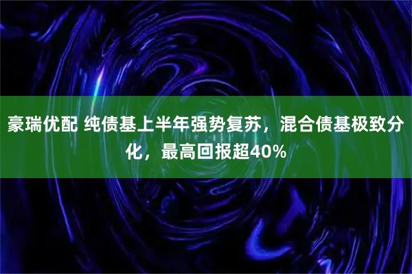 豪瑞优配 纯债基上半年强势复苏，混合债基极致分化，最高回报超40%