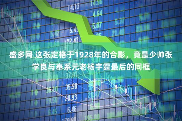 盛多网 这张定格于1928年的合影，竟是少帅张学良与奉系元老杨宇霆最后的同框