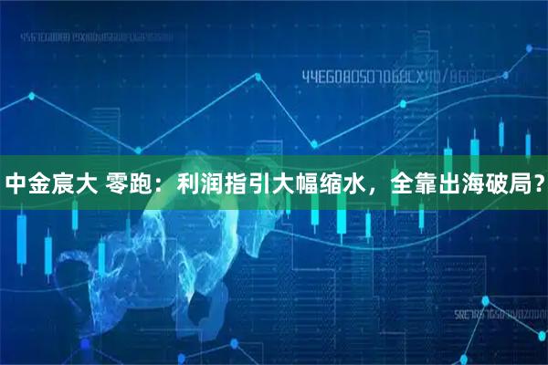中金宸大 零跑：利润指引大幅缩水，全靠出海破局？