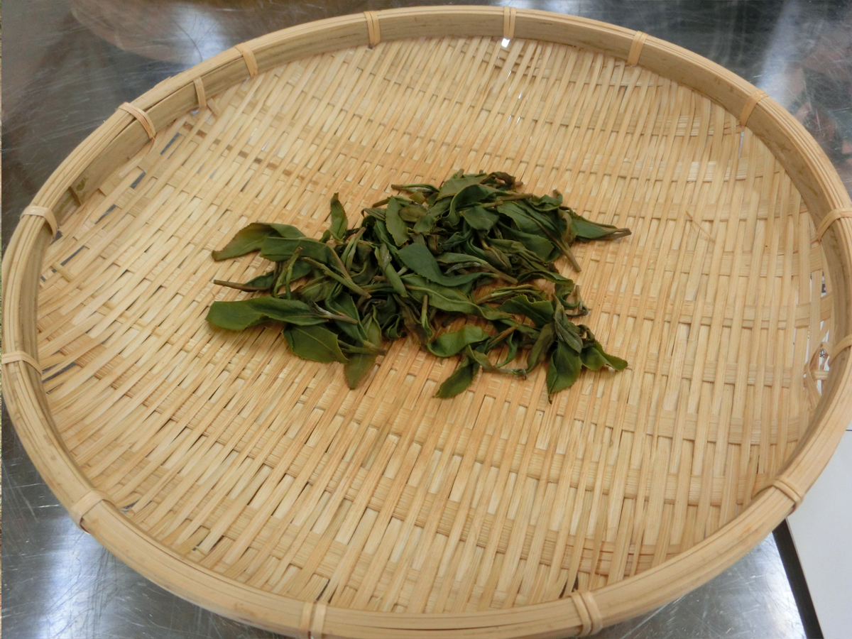 鈴木製茶